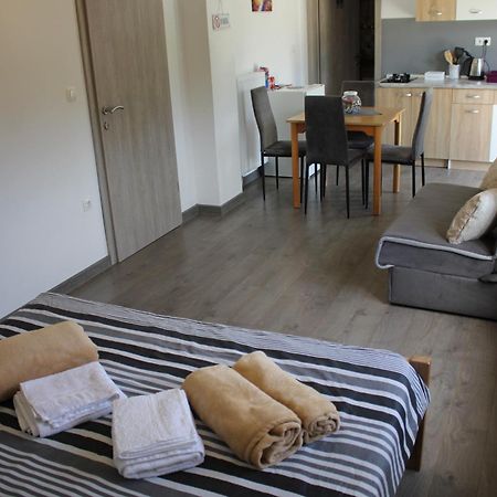 Studio Apartments Adian โคเรนนิซา ห้อง รูปภาพ